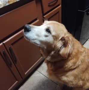 Meet your Posher, Jan